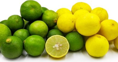 লেবুর গুণাগুণ