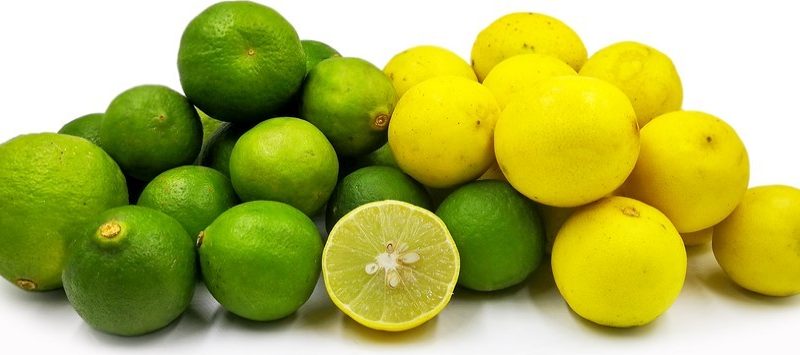 লেবুর গুণাগুণ