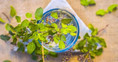 তুলসী পাতার উপকারিতা