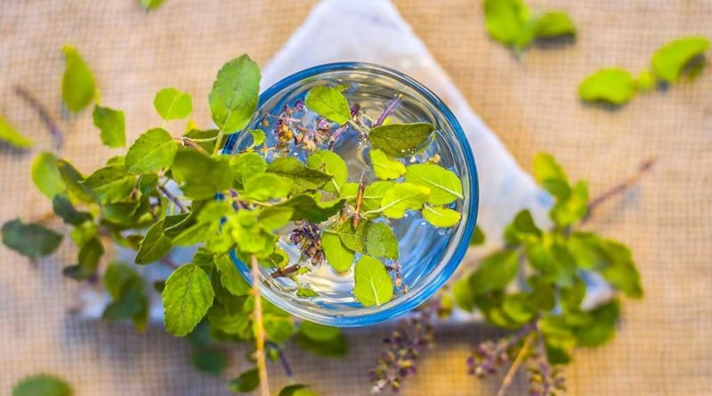 তুলসী পাতার উপকারিতা