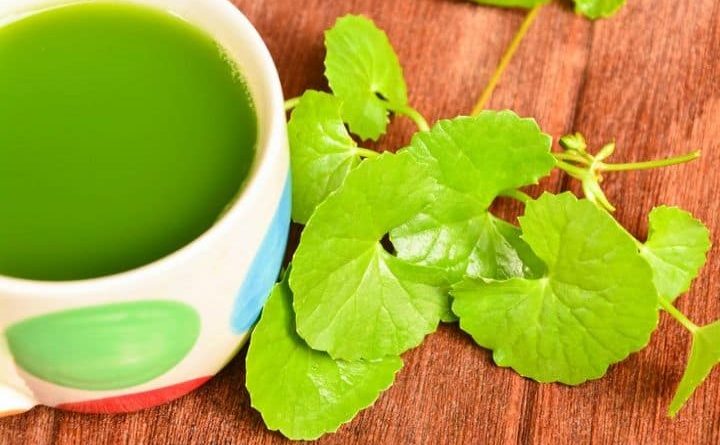 থানকুনি পাতা