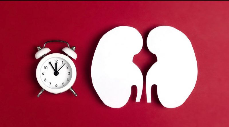 কিডনি রোগের ঘরোয়া চিকিৎসা