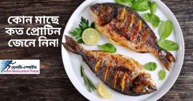 কোন মাছে কত প্রোটিন