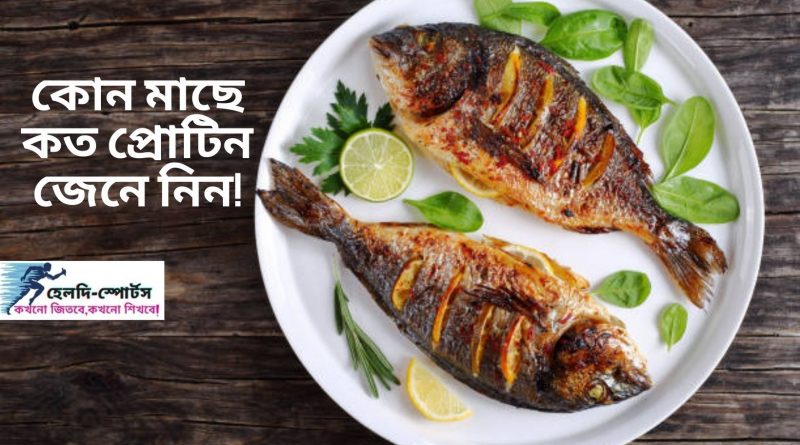 কোন মাছে কত প্রোটিন