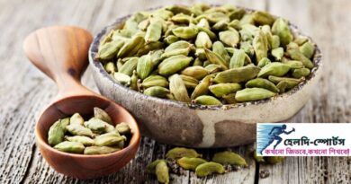 এলাচ এর উপকারিতা