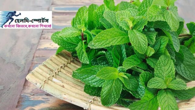পুদিনা পাতার উপকারিতা