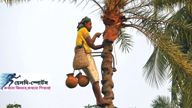 খেজুরের রস