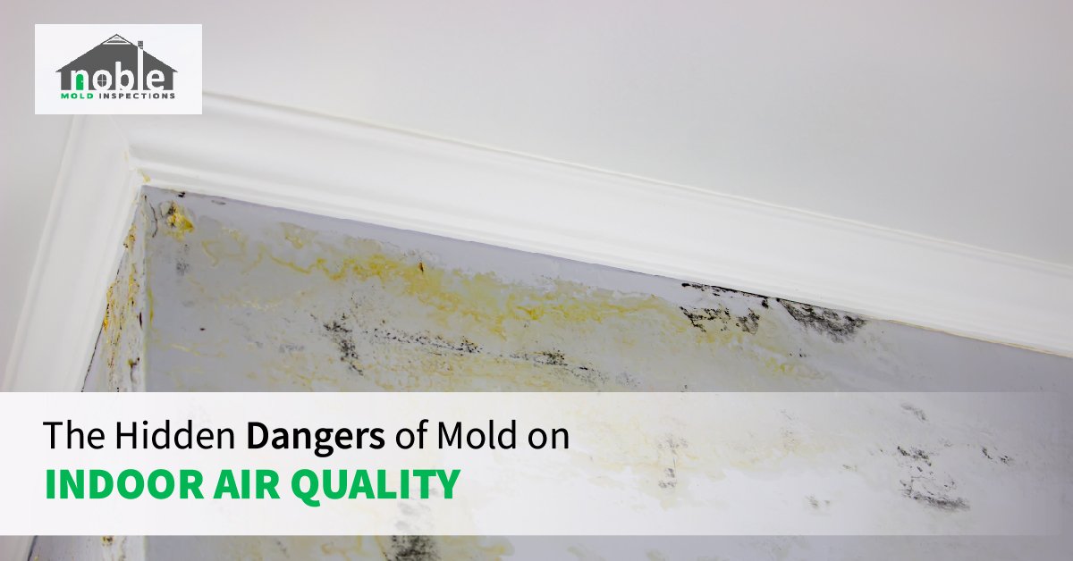Is Bathroom Mould Dangerous